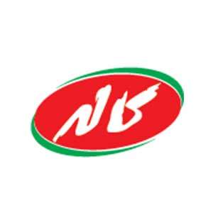 ACG industrial customer logo 57